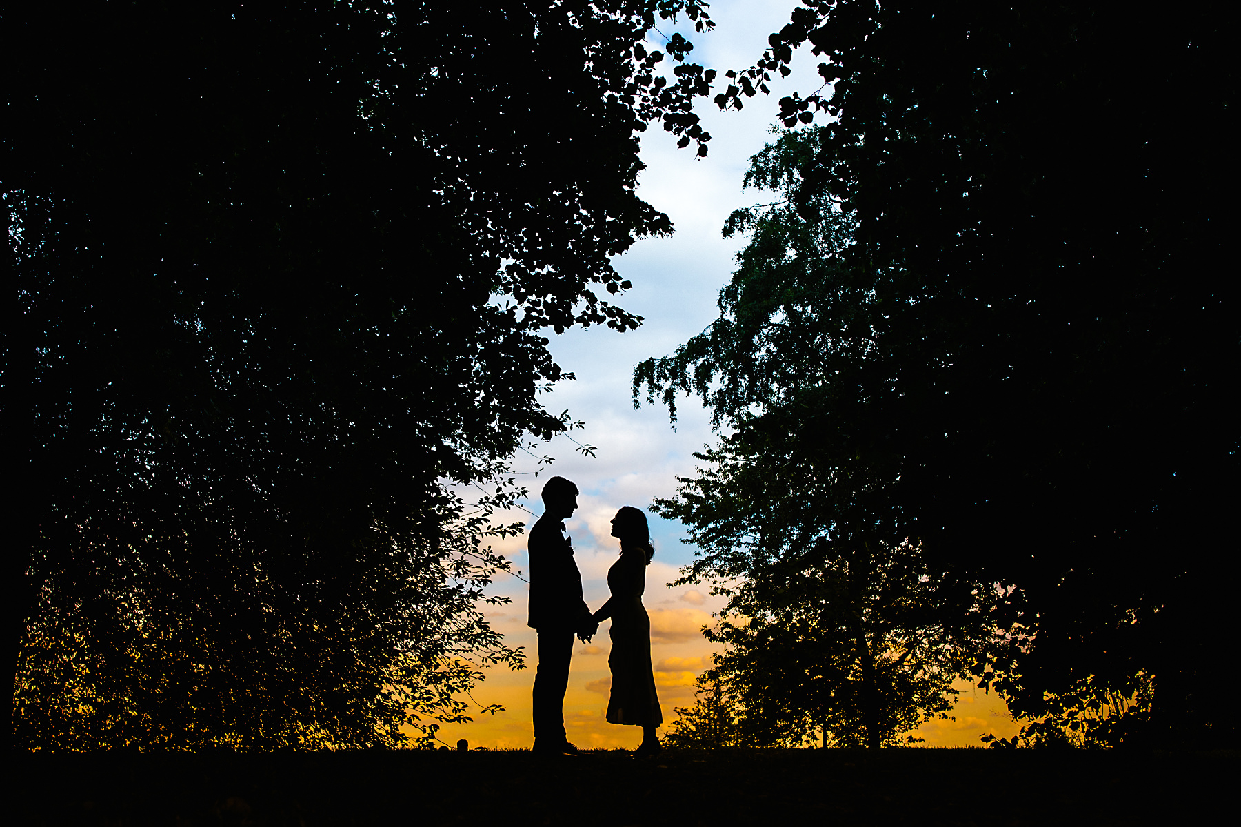 Hampstead heath silhouette